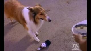 The New Lassie (Season 2 Eps.14)