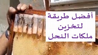 أفضل طريقة لتخزين ملكات النحل/  بنك الملكات