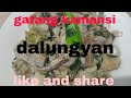 gatang kamansi /dalungyan