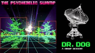 Dr. Dog - "Swamp Descent" (Full Album Stream)
