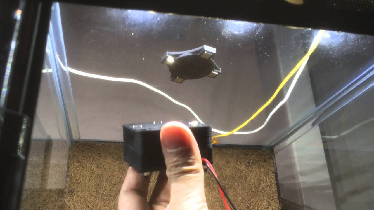 poison ivy 1992 The internal air-circulation fan running