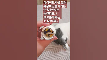 큐시미아2단계 첫경험후기 현재5키로 감량중입니다