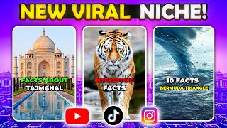 NEW VIRAL NICHE | YouTube and TikTok Video Creation with AI