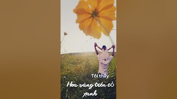 Tôi thấy hoa vàng trên cỏ xanh ( Trúc Nhân - Ái Phương)