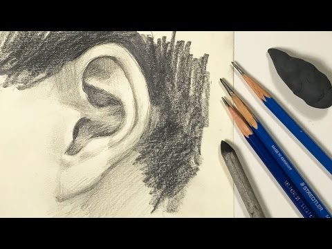 Watercolor Portrait Workshop 1 - Man in Profile - lesson 11: Drawing Ear with Graphite - Watercolor Portrait Workshop 1 - Man in Profile - lesson 11: Drawing Ear with Graphite