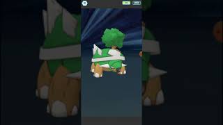 1500 Point Masters Vs Bruno