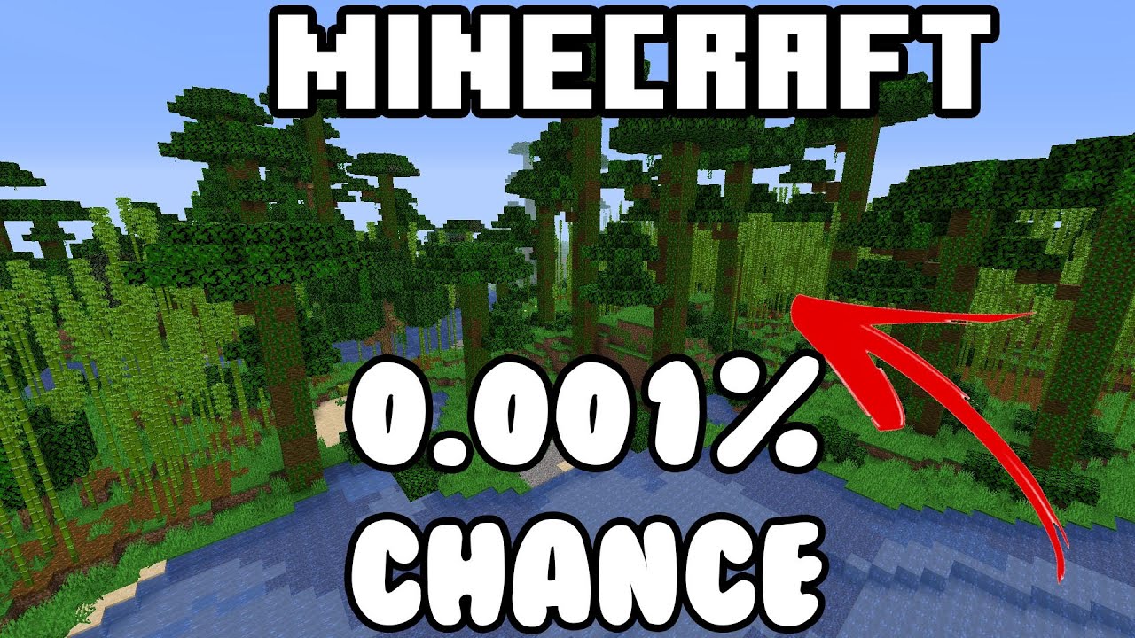 I found the rarest biome in minecraft....