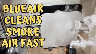 I Tested the BEST Air Purifier for 1 Year and Here's What Happened