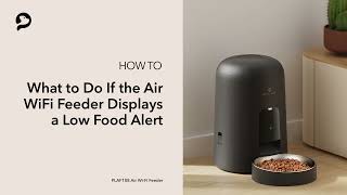 What to Do for the Low Food Alert | PETLIBRO Air Wi-Fi Feeder by PETLIBRO 514 views 5 months ago 27 seconds