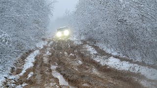 Телепорт "Кологрив - Понга - Панкратово". Прорубаем окно на север!