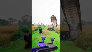 Are Ki Re Ata Hamham Hambhu