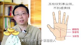 手掌玉柱纹看你一生的事业能做多大Know Your CAREER Through The Line of Palm