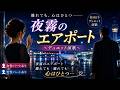 夜霧のエアポート 🌙✈️ 切ない大人のデュエット演歌|離れても心はひとつ【オリジナル曲】