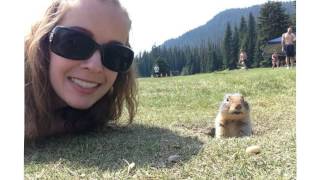 Groundhog talking