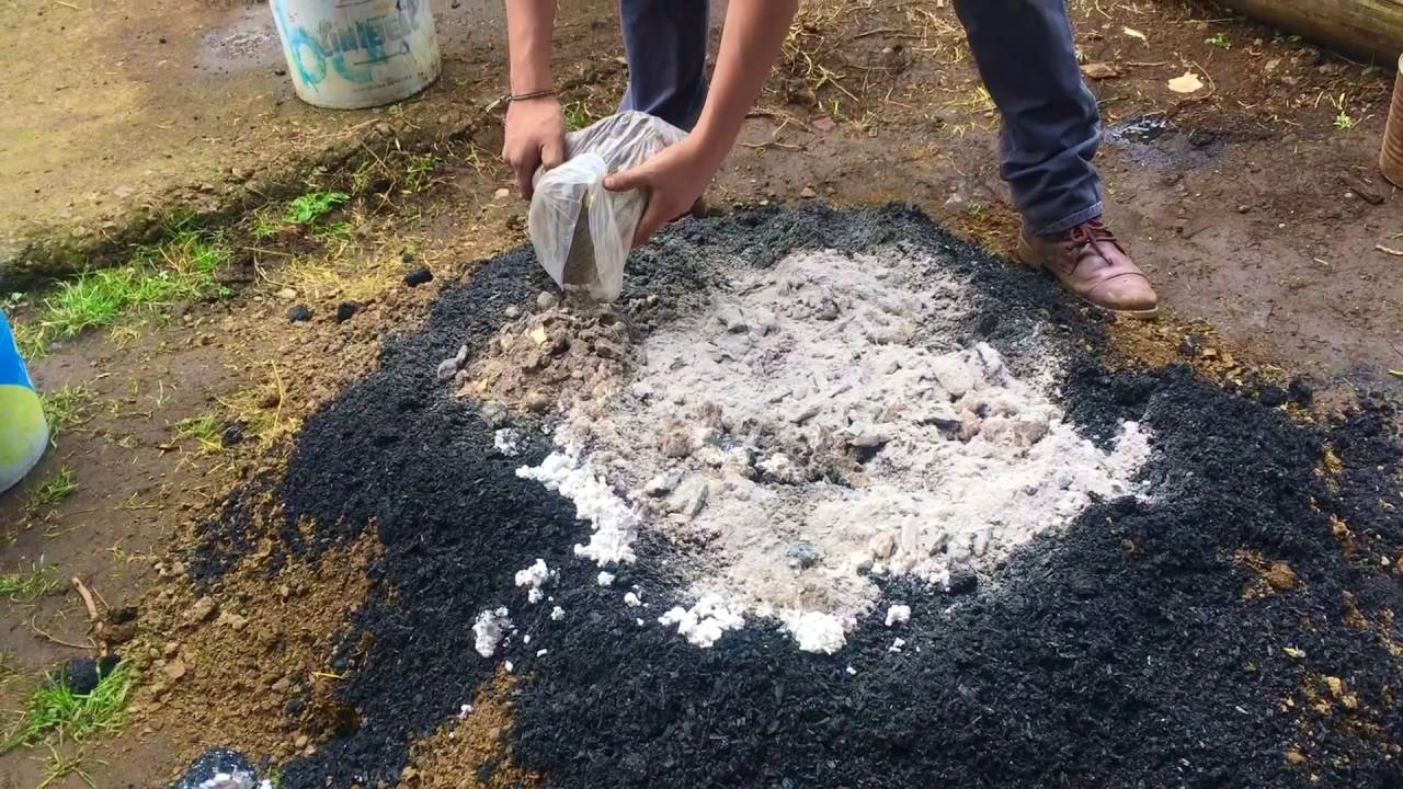Mejoramiento del suelo: Abono orgánico fermentado tipo Bocacci