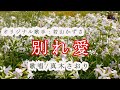 別れ愛(若山かずささん)唄/真木さおり