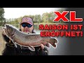 XL Saison bei WILD | Lachsforellenangeln | Forellenangeln in den Niederlanden