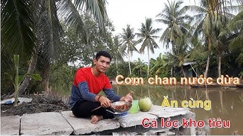 Cơm chan nước dừa ăn cùng cá lóc kho tiêu – Đặc sản miền tây ǀ {Cuộc sống miền quê}