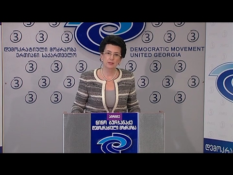 \"დემოკრატიული მოძრაობის\" ლიდერის ნინო ბურჯანაძის ბრიფინგი