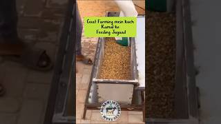 Goat Farming ka smart feeding jugaad #jugaad #goat #goatfarming #goatfeeding #pets #trending #shorts