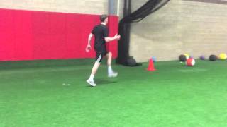 Linear Dynamic Warm Up