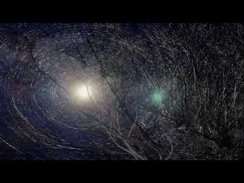 Дурной Вкус & Past Day - Волки