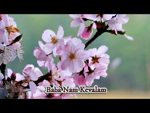 Baba Nam Kevalam
