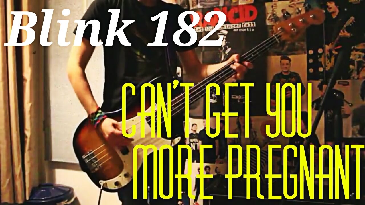 Blink 182 Can't Get You More Pregnant Bass Cover YouTube
