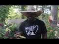 CAYENNE PEPPER Life Saving Herbs