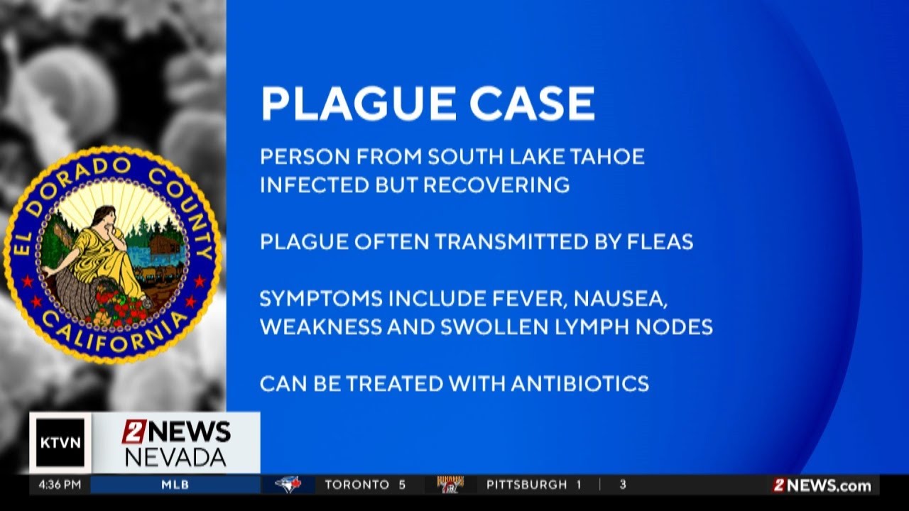 South Lake Tahoe resident tests positive for plague