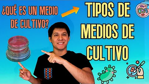 ¿Qué función tienen los medios de crecimiento?