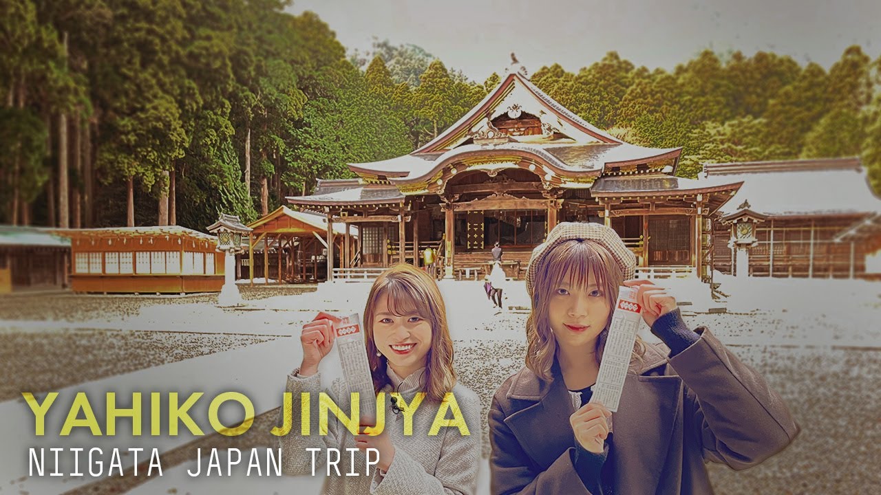 【新潟観光】新潟有数のパワースポット「彌彦神社」とニッポン全国物産展でグランプリ受賞 弥彦村「白パンダ焼き」 Yahiko Shrine，Niigata，Japan Trip【ガタログです！第2弾】