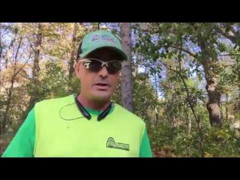 Online Estimates Leaf Vacuum Service Near Me
