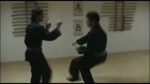 Ukemi Waza (breakfalling techniques) - Bujinkan Ninjutsu Takamatsu den - 2009