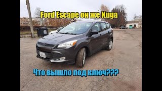 Ford Escape из США - Было и Стало - готовая работа! Какая цена под ключ?