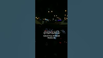 القارئ عبد الرحمن مسعد #quran