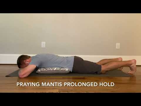 Praying Mantis Prolonged Hold