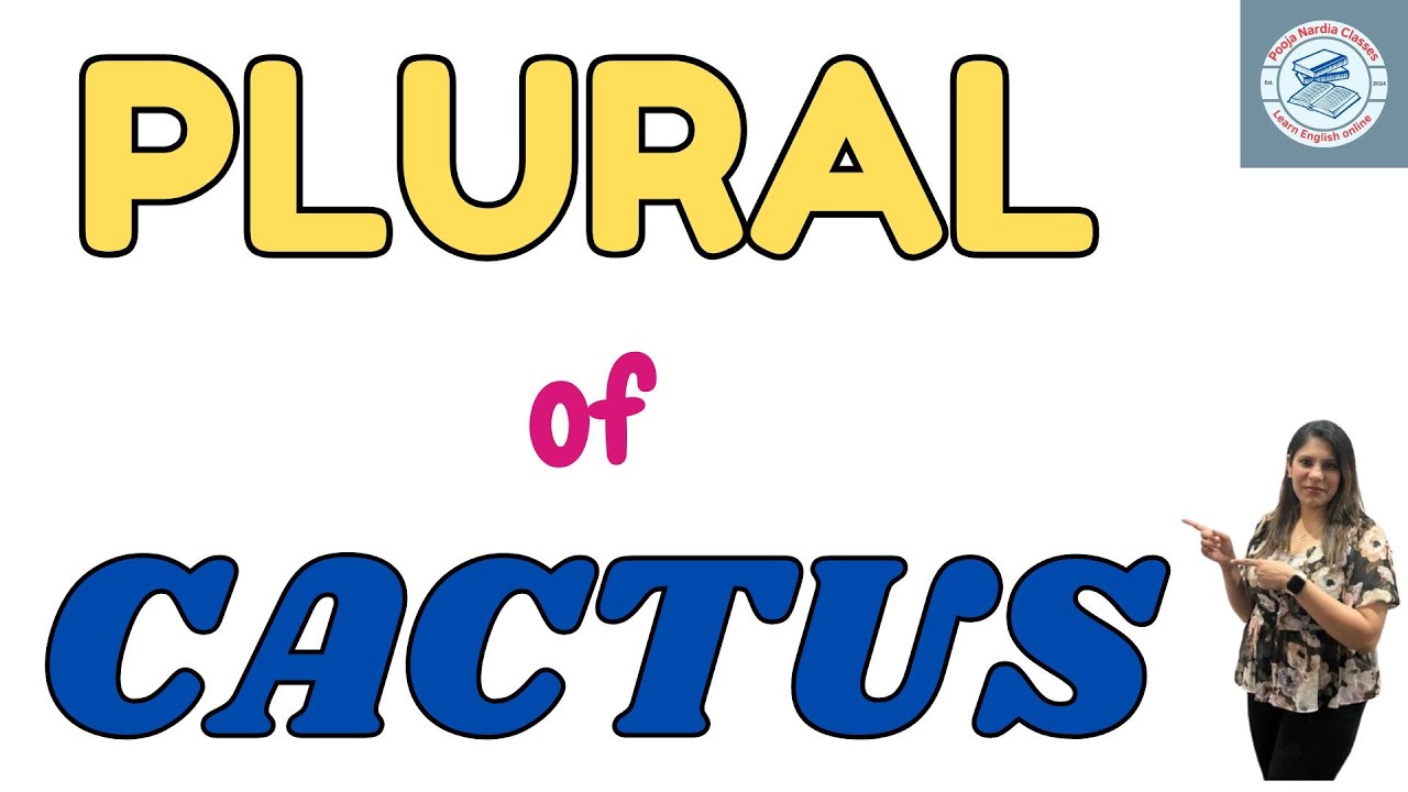 Plural of CACTUS | CACTUS ka Plural I singular and plural I      I
