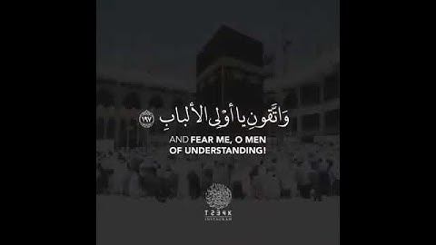 ‫{الْحَجُّ أَشْهُرٌ مَّعْلُومَاتٌ ۚ} تلاوة خاشعة من سورة البقرة | surah al baqarah ..