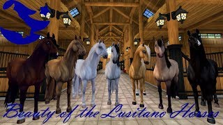 Beauty of the Lusitano Horses ~ Star Stable Online Beauty of the Lusitano Horses ~ Star Stable Online