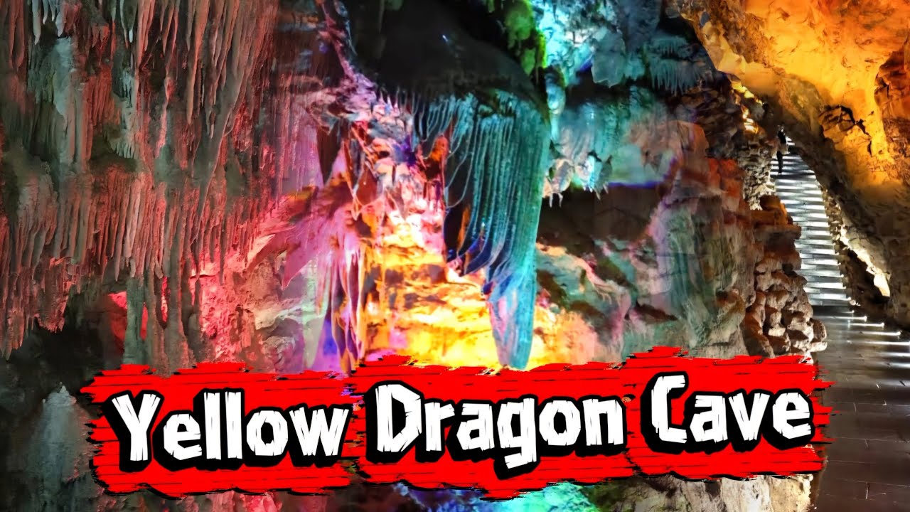 YELLOW DRAGON CAVE #yellowdragon #feedshorts