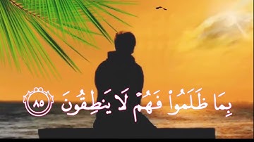 ما تيسر من سورة النمل بدون حقوق