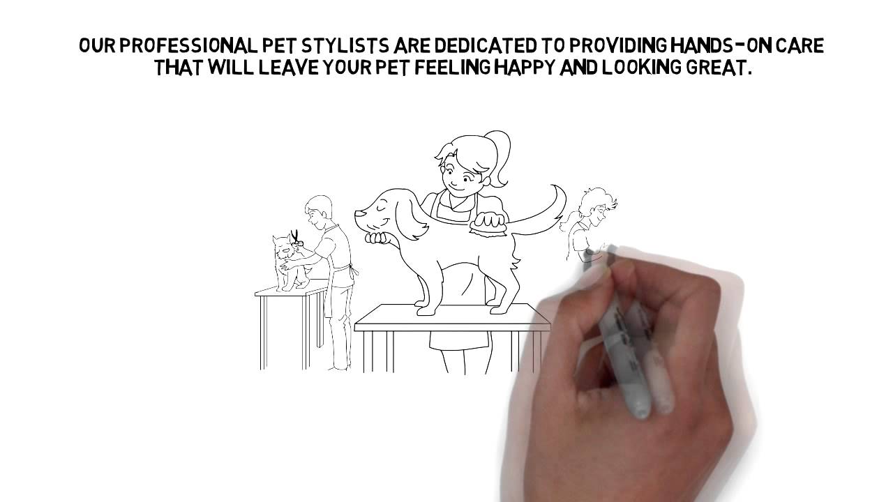 pet grooming YouTube