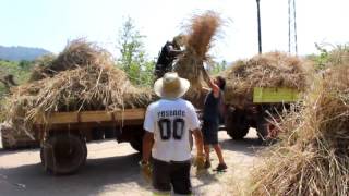 Segada y Mallada en Vegañan