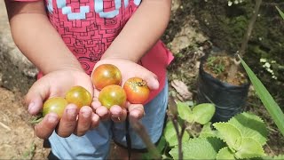 SEJA RICO DE TUDO QUE NAO SE PODE COMPRAR 