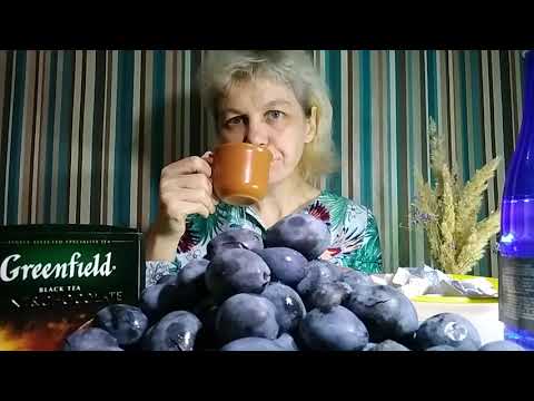 Video: Občerstvení „slávky“ze švestek