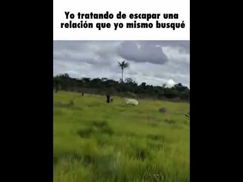 El problema lo busqué yo mismo