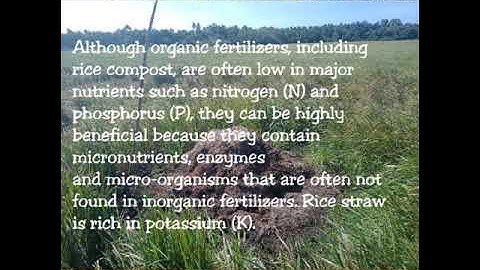 How to make organic fertilizer using rice straw