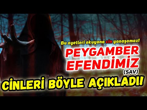 CİNLERİ PEYGAMBER EFENDİMİZ (sav) BÖYLE AÇIKLADI! | MEĞER HEPİMİZ..