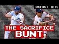 The Dodgers Mastered the Bunt and Nobody Cared | Baseball Bits